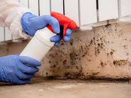 Best Mold Remediation for Rental Properties  in Norwalk, OH